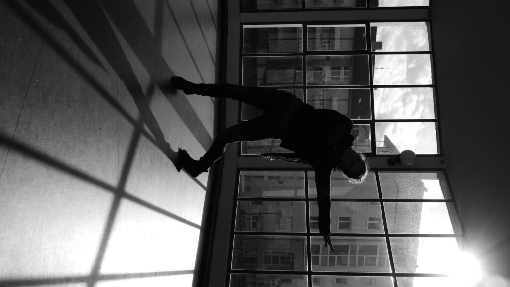 Somatic AI Collective